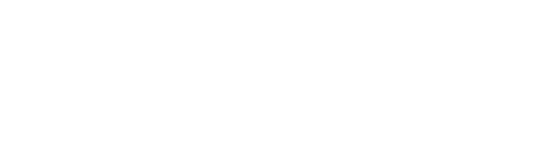 SMART swag e-store