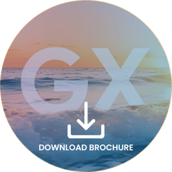 Biz. Gx (2)