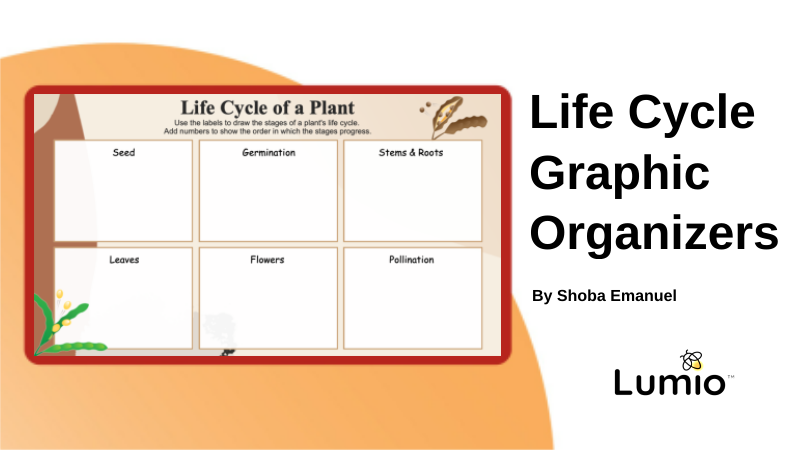 Life Cycle Graphic Organizers