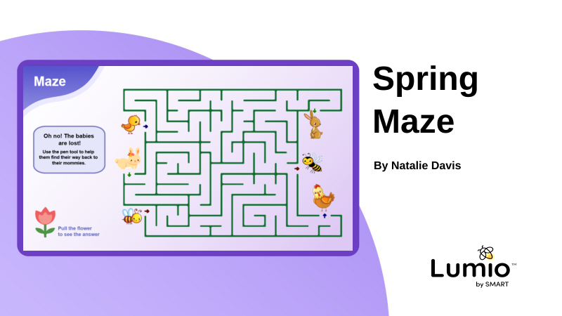 Spring Maze-1